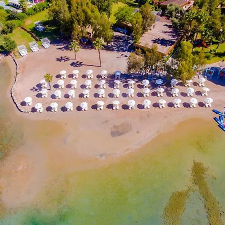 Sunshine Ολουντενίζ