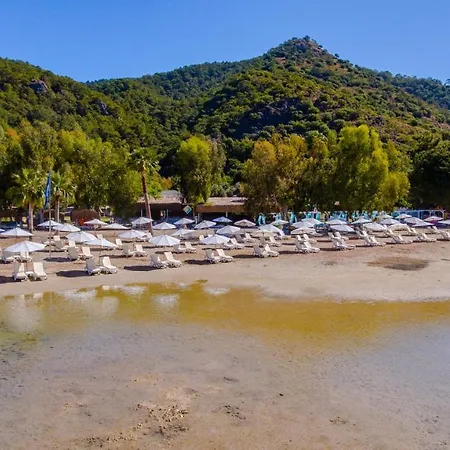 Sunshine Hotel 4*