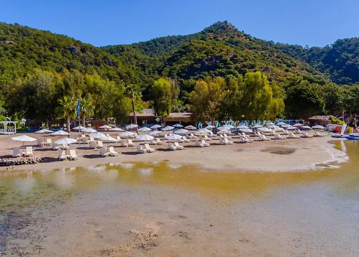 Sunshine Hotel 4*